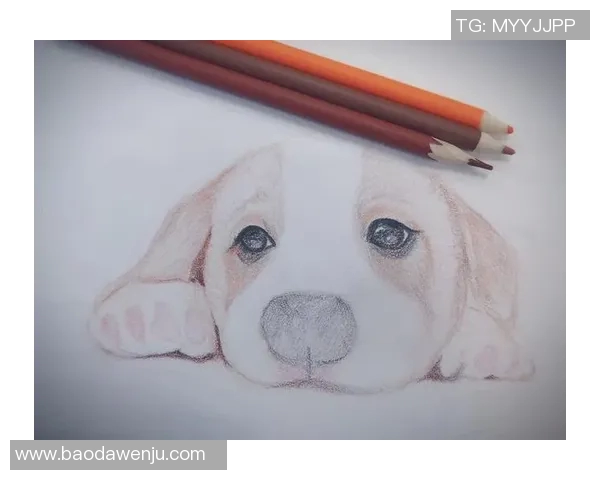 彩铅绘制的足球明星全景展示与人物故事分享